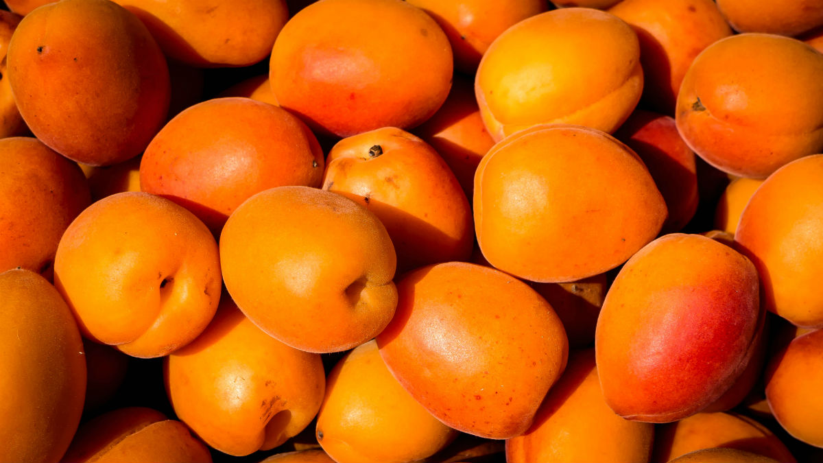 Apricots