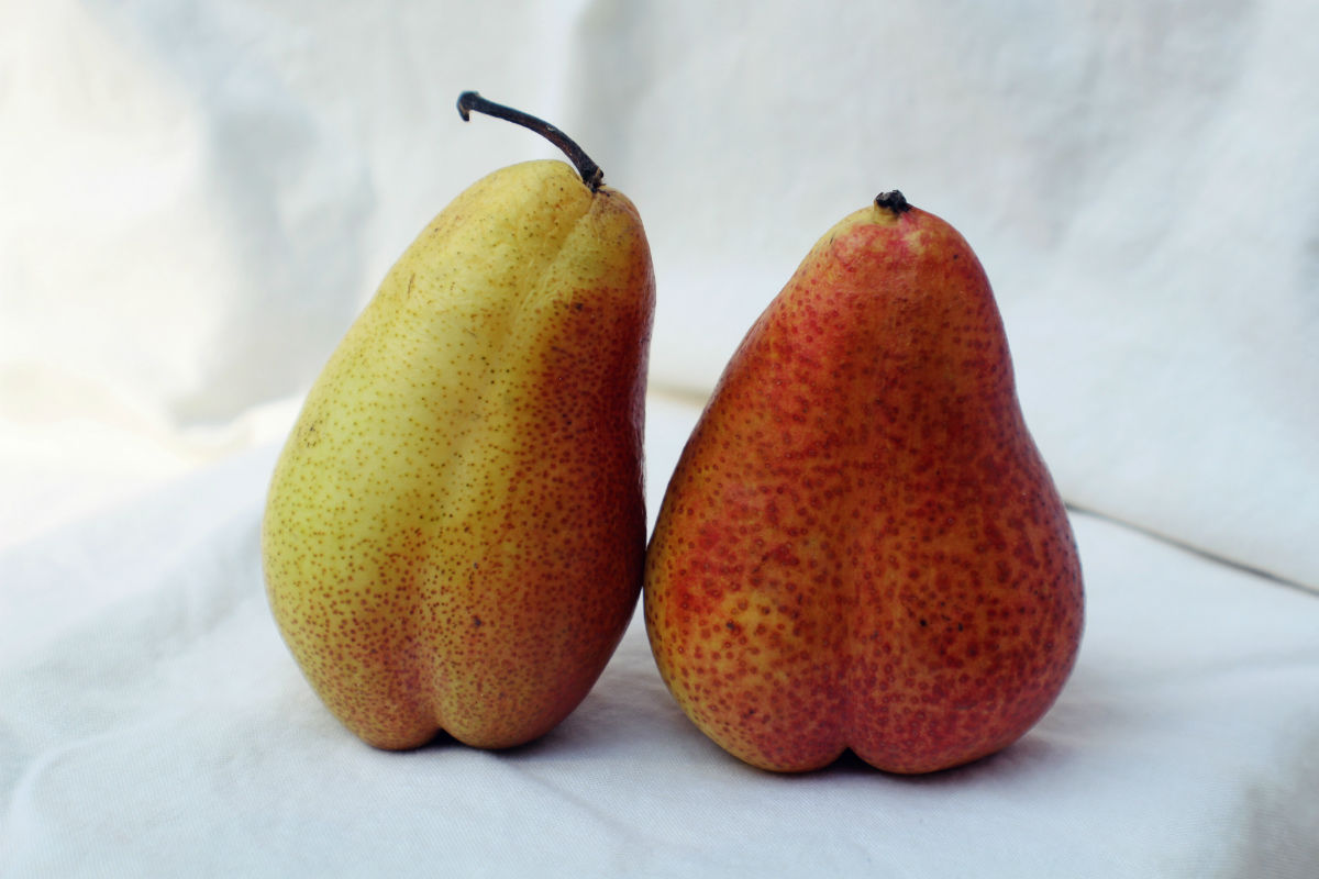 Pears - 10 Healthiest Fruits To Add To Your Diet