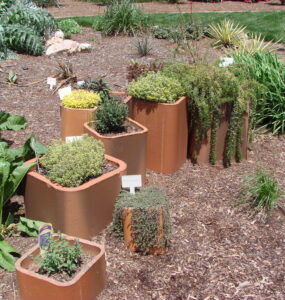 Growing and Using Your Own Herb Garden