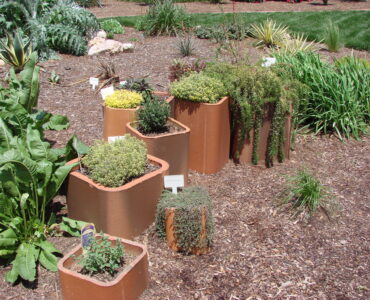 Growing and Using Your Own Herb Garden