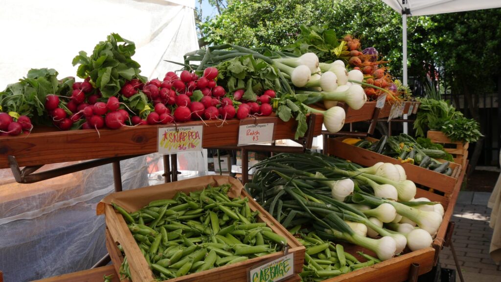 Explore Farmer’s Markets – Family Activities with Fresh Finds