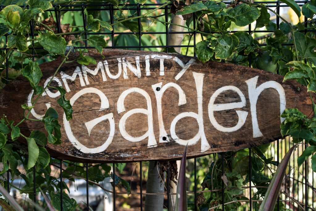 Stress Relief - Community Gardening