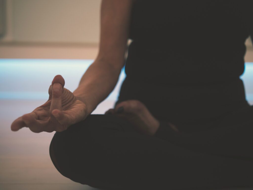 Vipissana - Honest Accounting of the Evidence