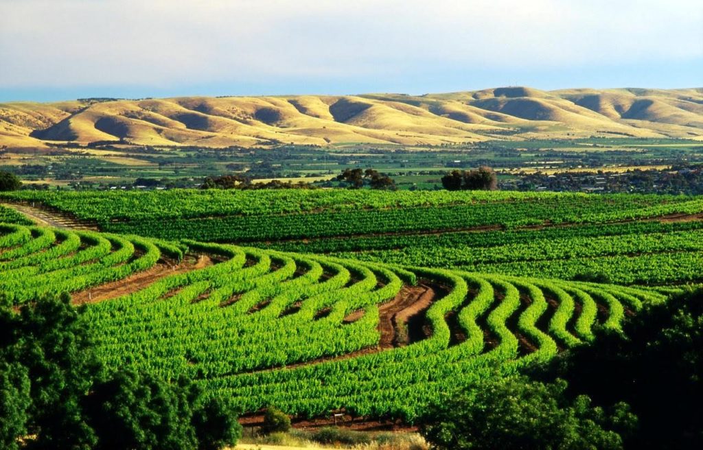 Adelaide - The Top 6 Cities to Visit In Australia  