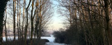 A snow-covered path running between bare trees under a blue sky