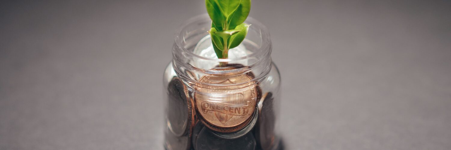 Small green plant growing from a glass jar of coins
