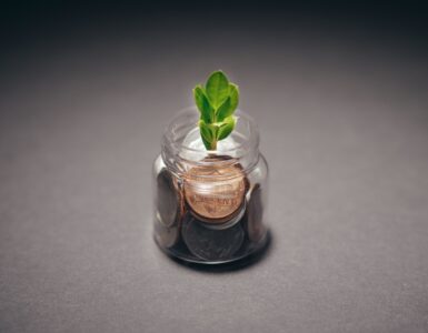 Small green plant growing from a glass jar of coins